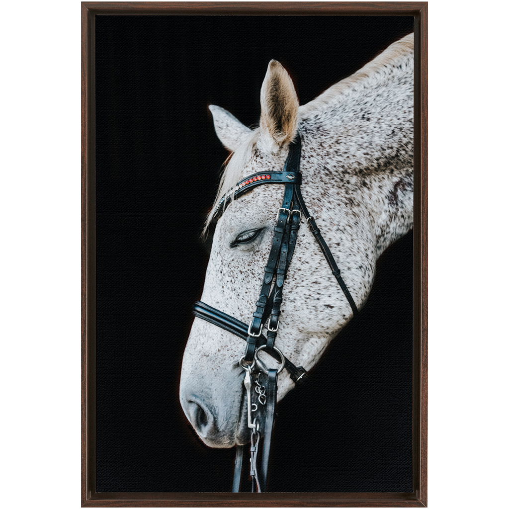 Apollo Series 1, Framed Canvas