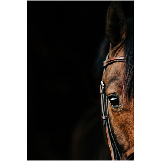 Jovial Series 5, Print