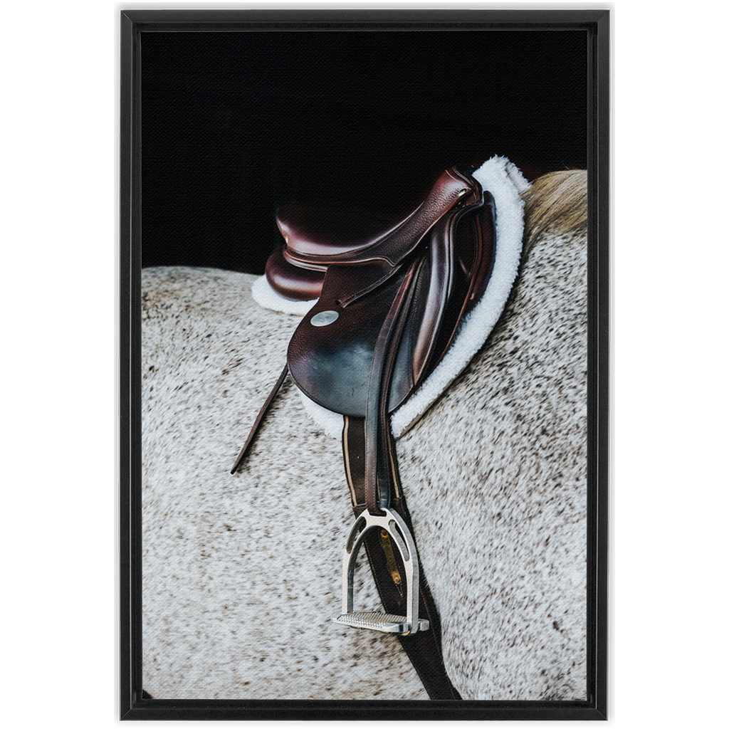 Apollo Series 3, Framed Canvas