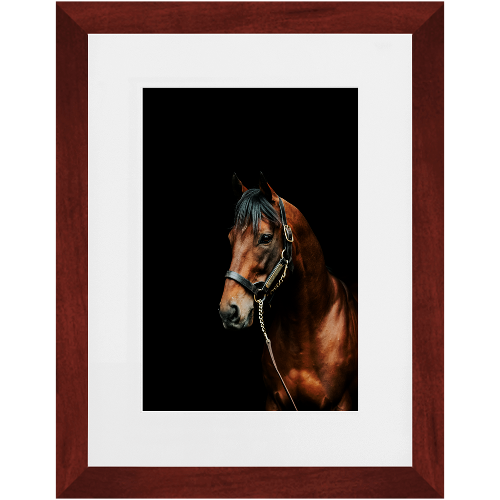 American Pharoah Series 2, Framed Prints