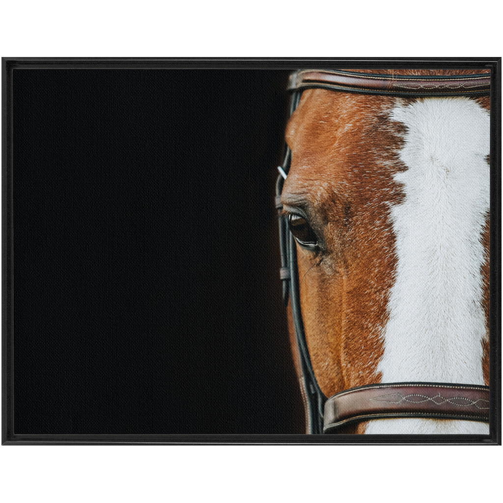 Huntsman Series 5, Framed Canvas