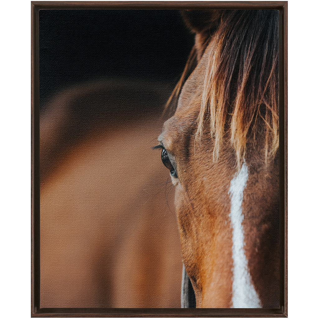 Majestic 1, Framed Canvas