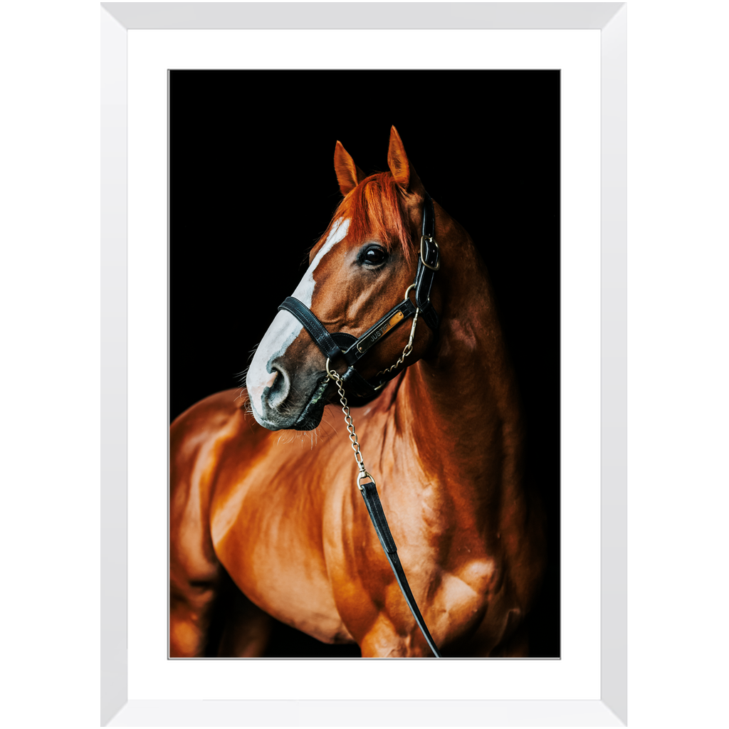 Justify Series 1, Framed Print
