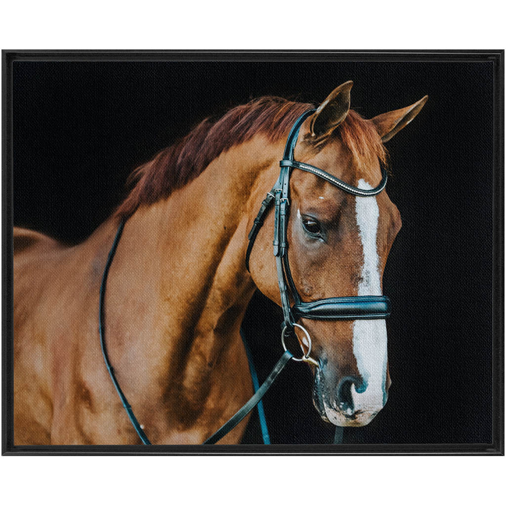 Hudson Series 1, Framed Canvas