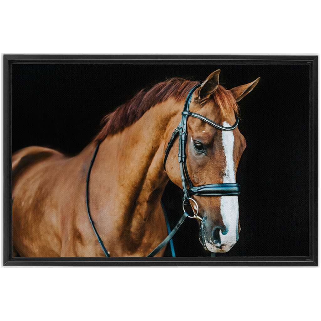 Hudson Series 1, Framed Canvas