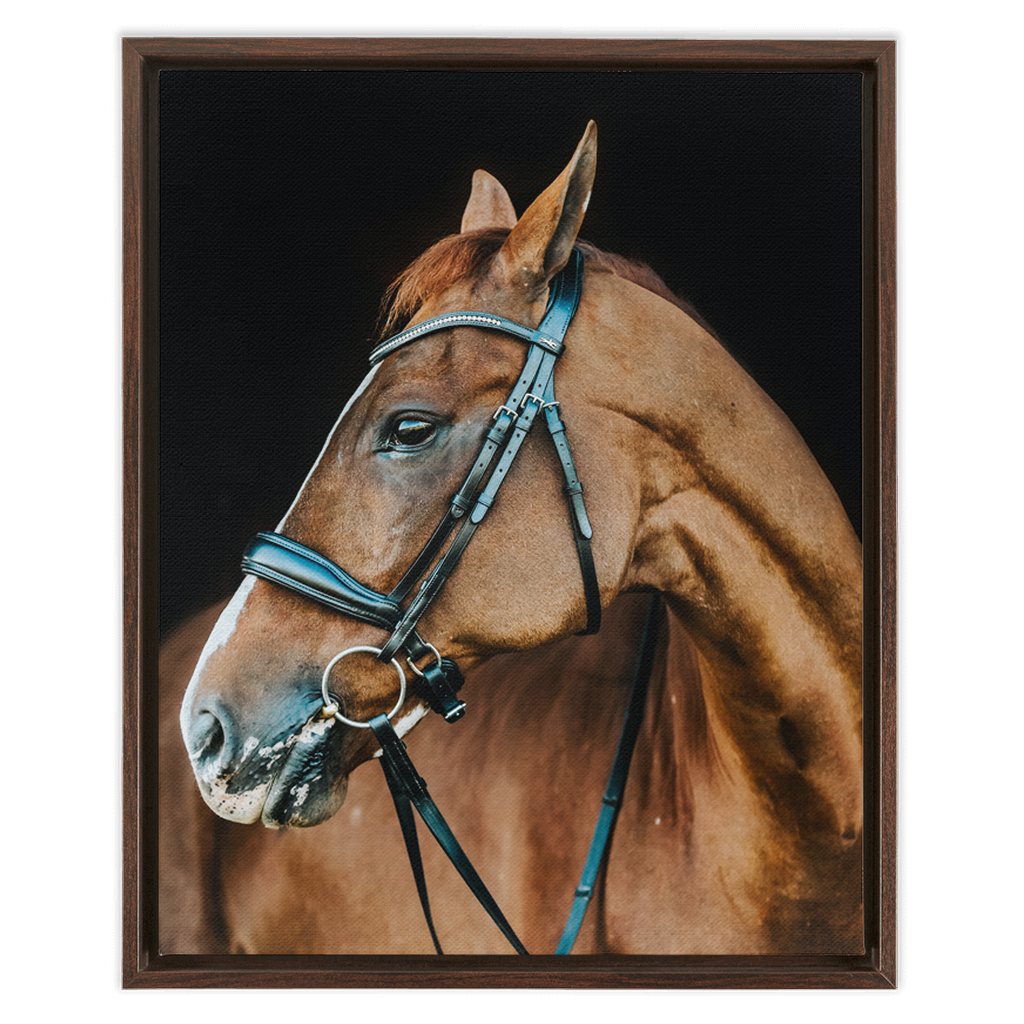 Hudson Series 6, Framed Canvas