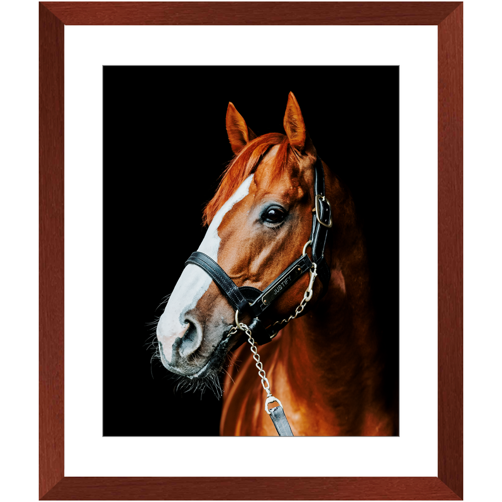 Justify Series 5, Framed Print