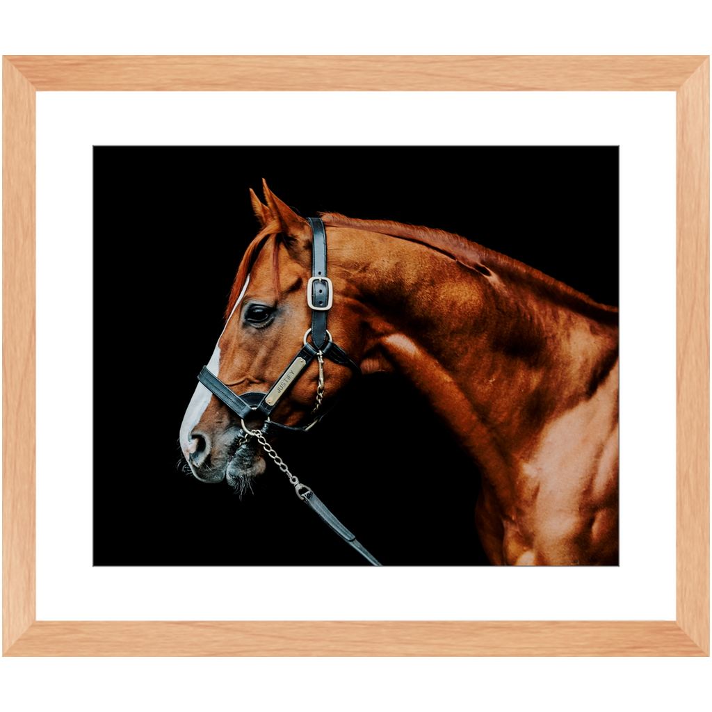 Justify Series 3, Framed Print