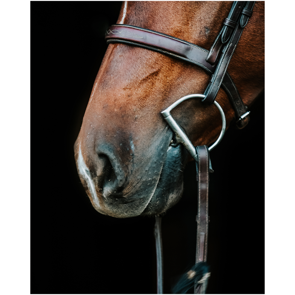 Monterey Series 5, Print
