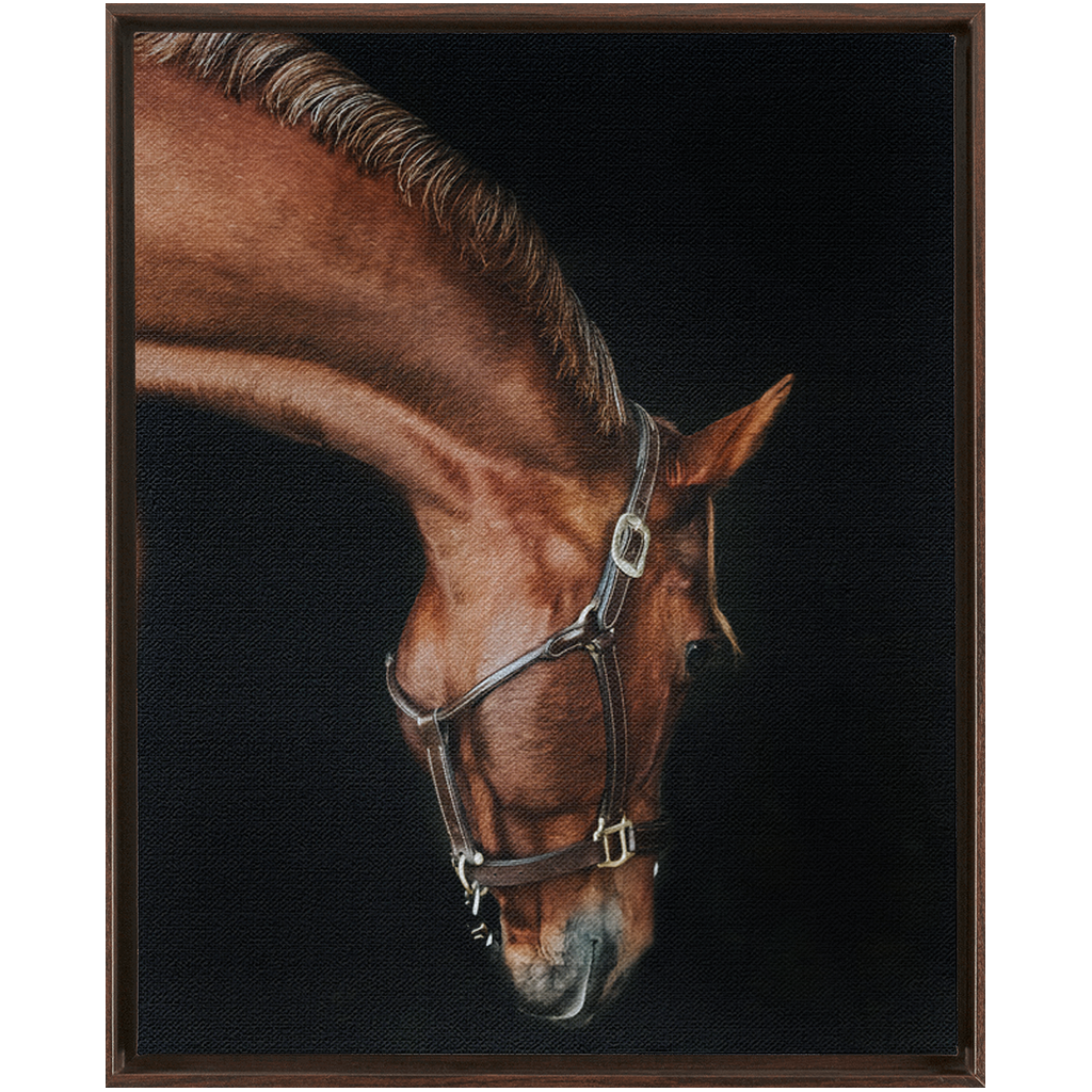 Django Series 6, Framed Canvas