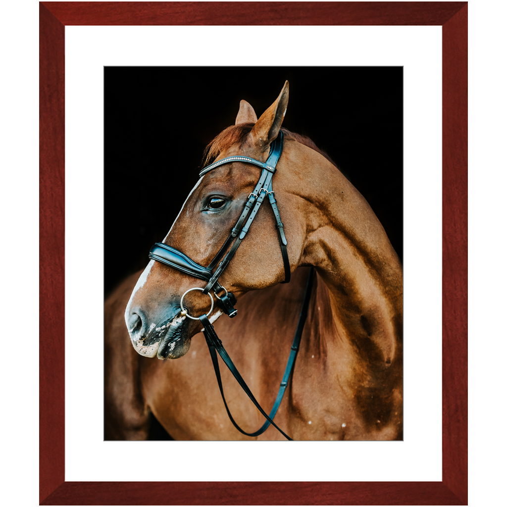 Hudson Series 6, Framed Print