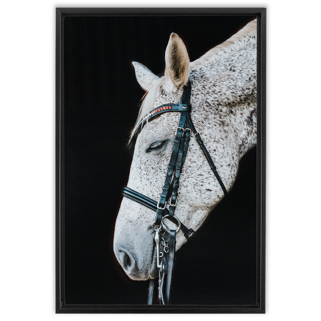 Apollo Series 1, Framed Canvas