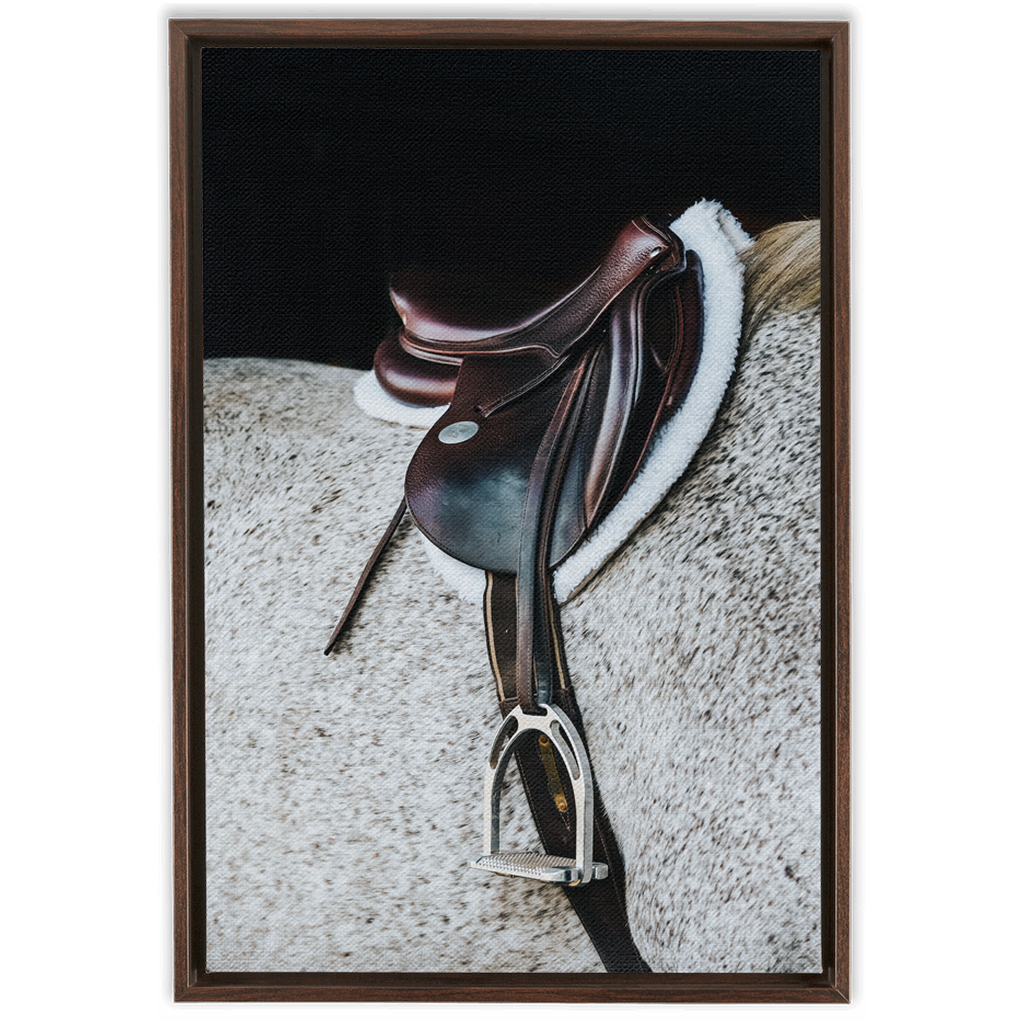 Apollo Series 3, Framed Canvas