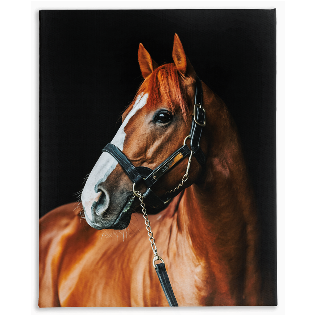 Justify Series 1, Stretched Canvas