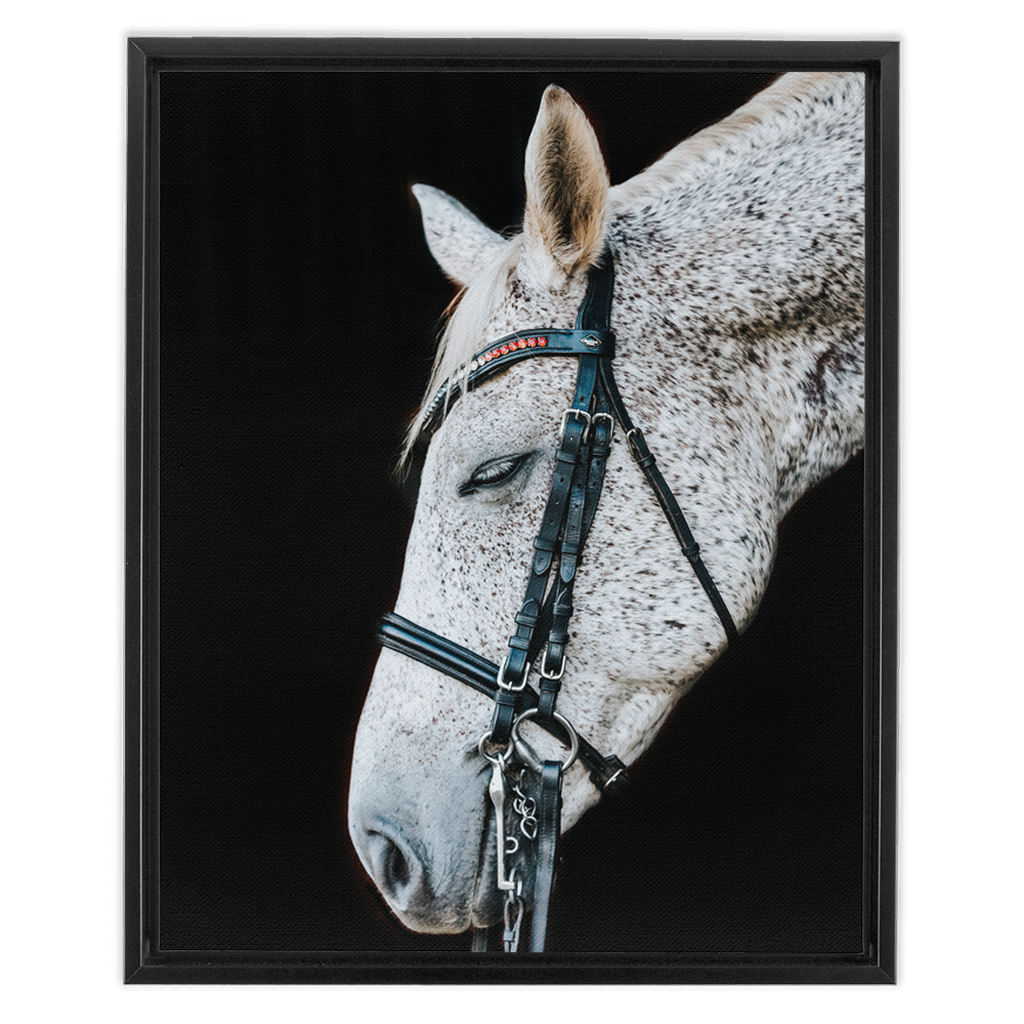 Apollo Series 1, Framed Canvas