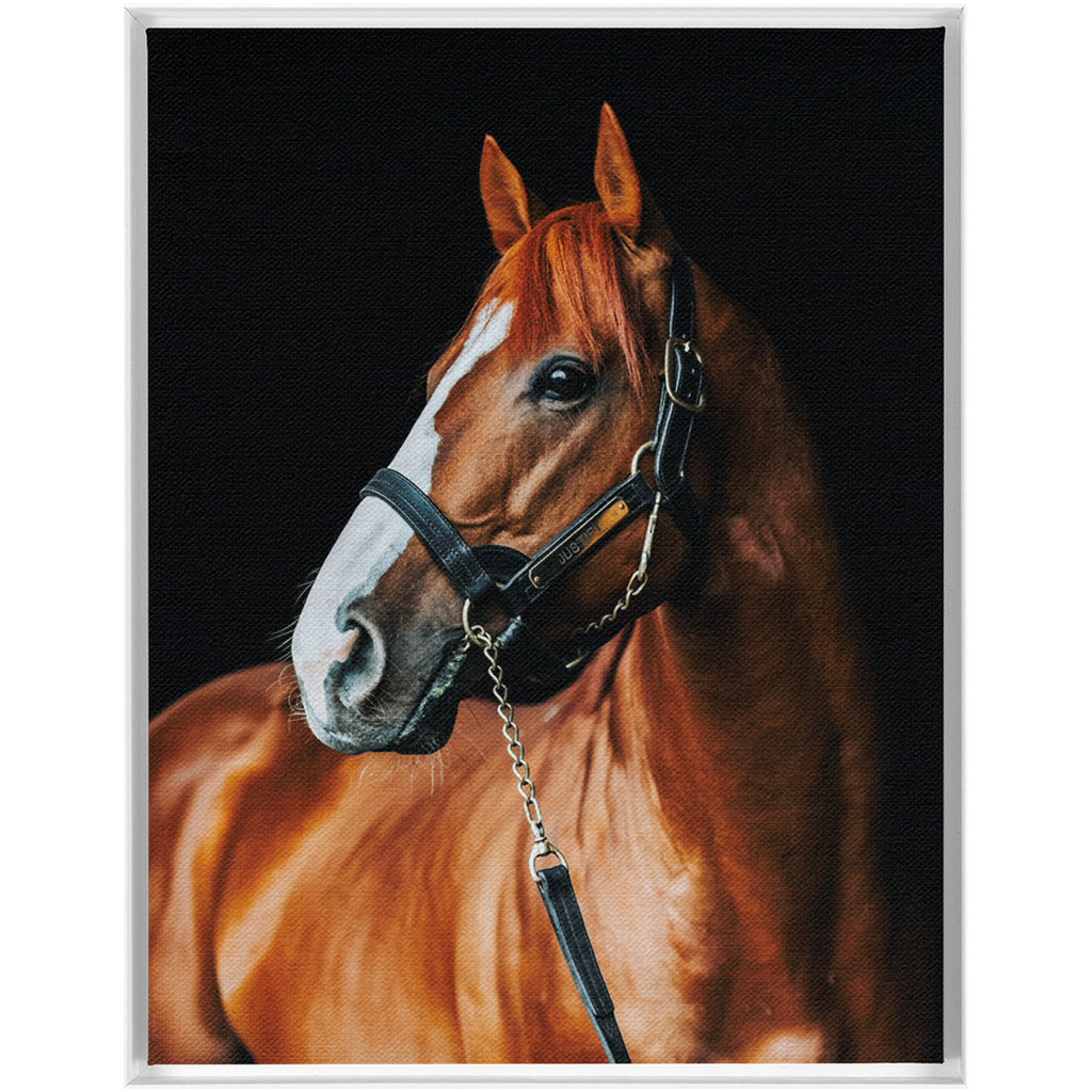 Justify Series 1, Framed Canvas