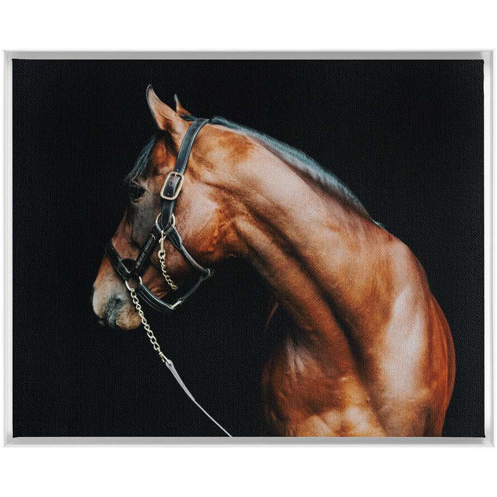 American Pharoah Series 5, Framed Canvas