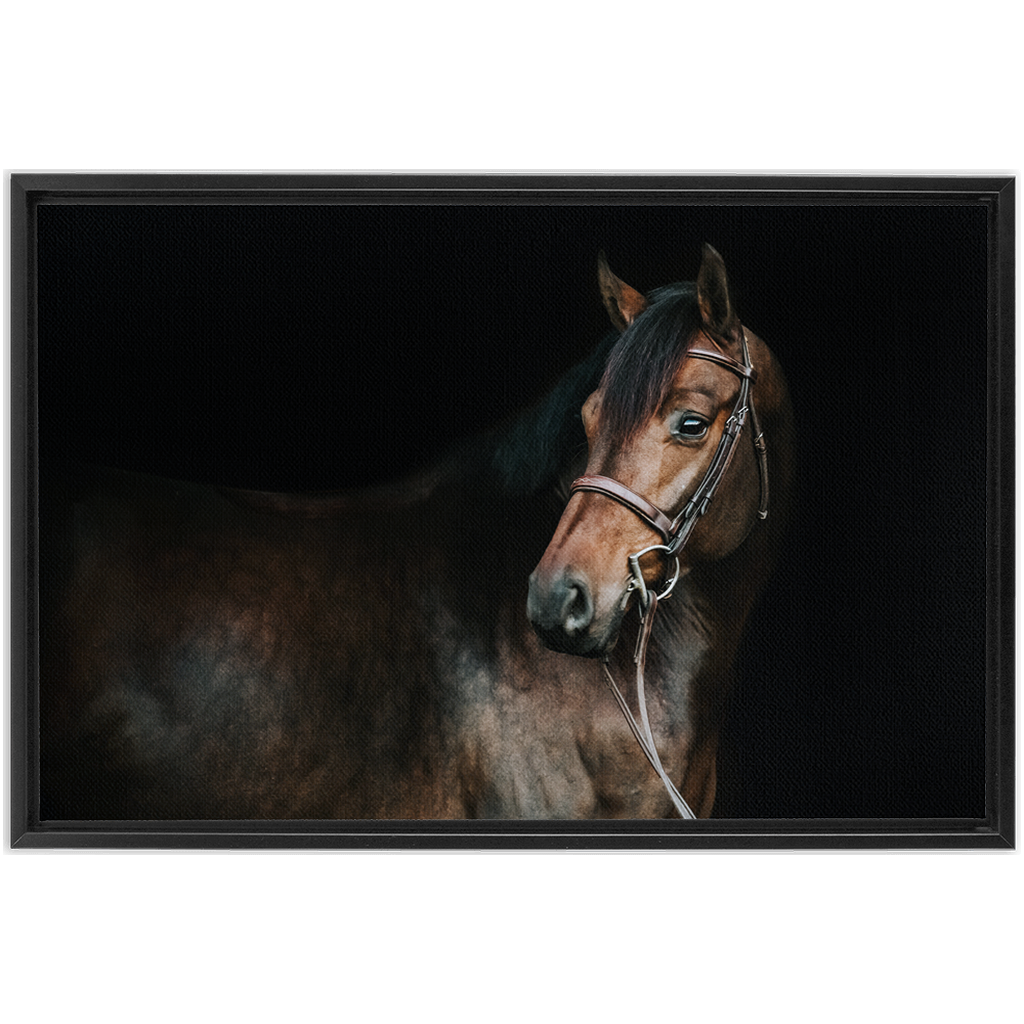 Jovial Series 2, Framed Canvas