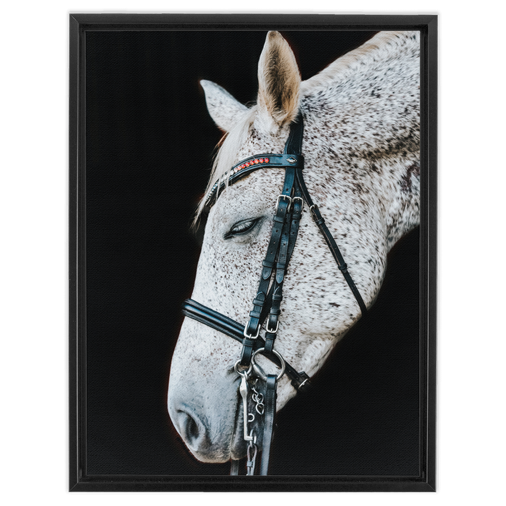 Apollo Series 1, Framed Canvas
