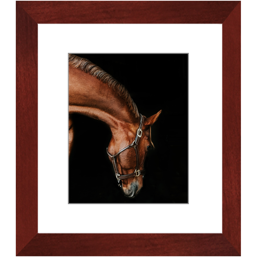 Django Series 6, Framed Print