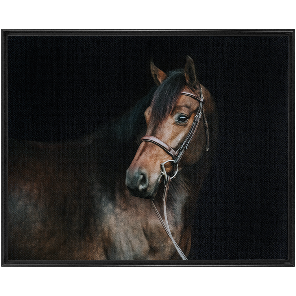 Jovial Series 2, Framed Canvas