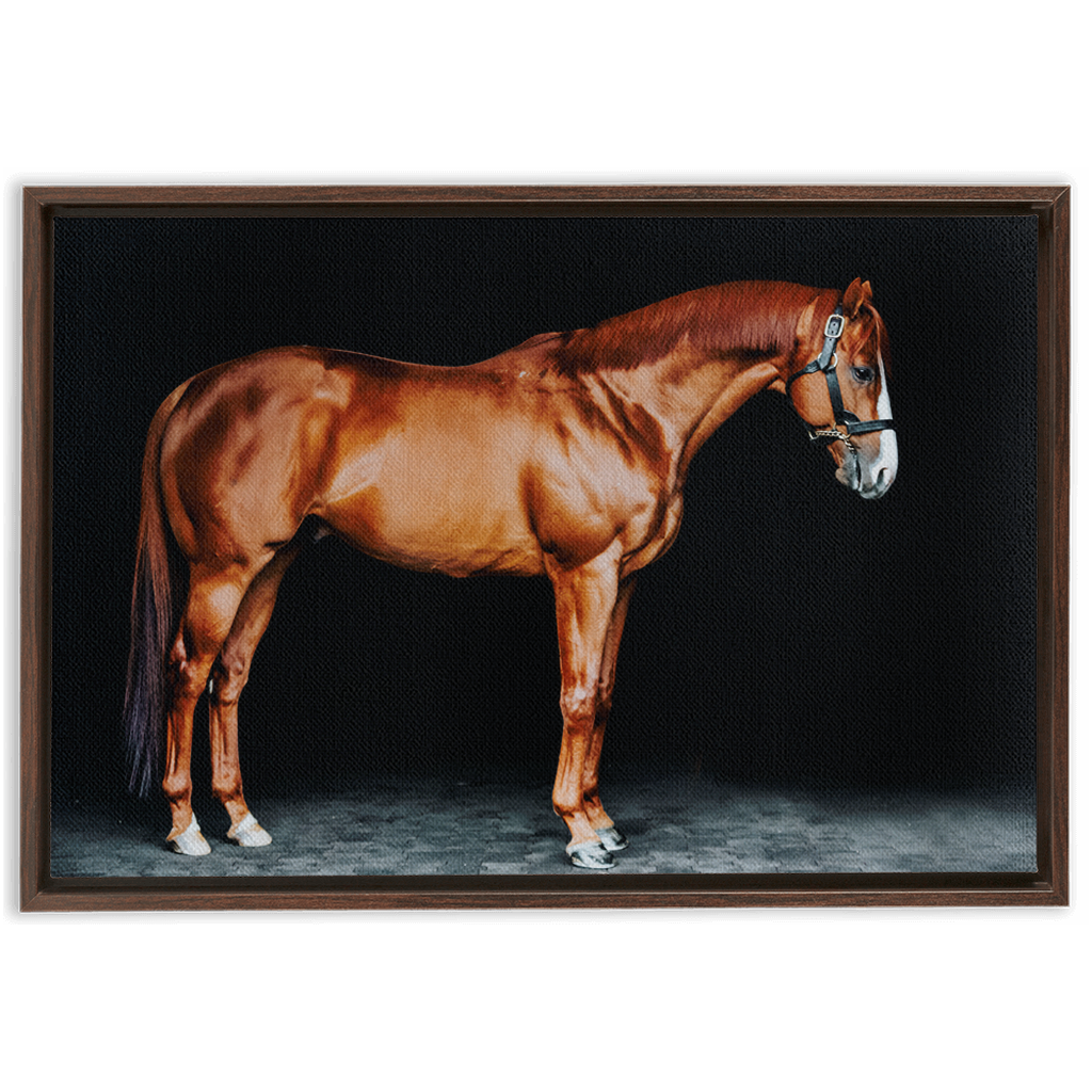 Justify Series 6, Framed Canvas