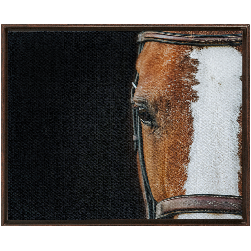 Huntsman Series 5, Framed Canvas
