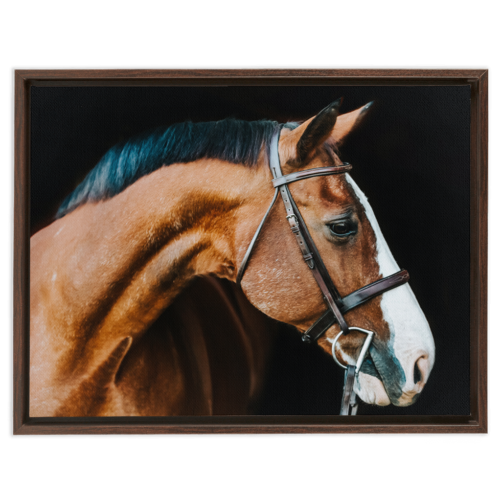 Huntsman Series 3, Framed Canvas