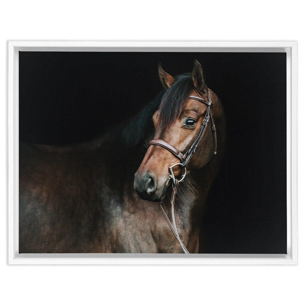 Jovial Series 2, Framed Canvas