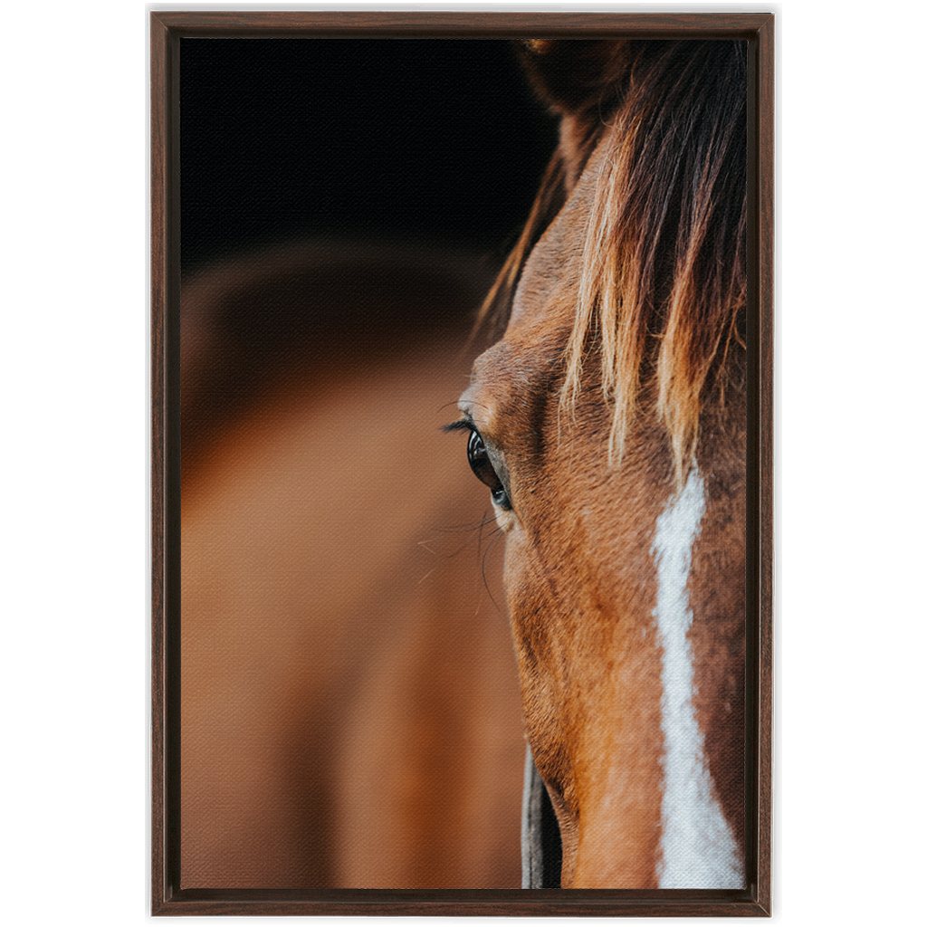 Majestic 1, Framed Canvas