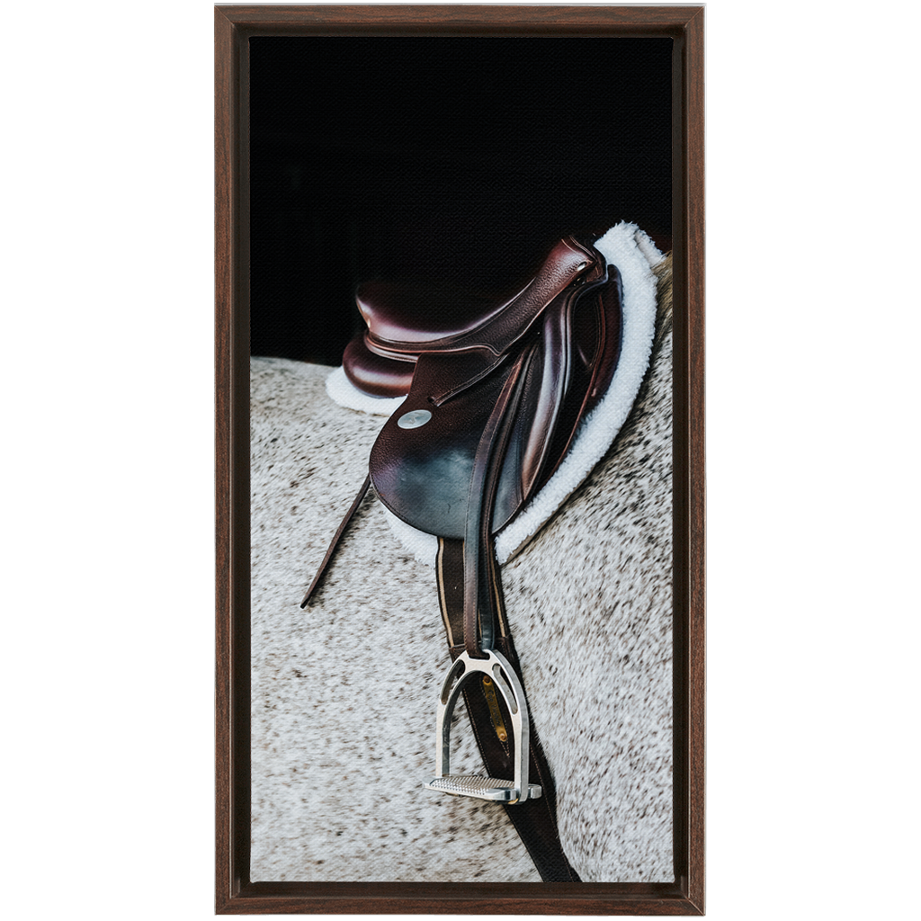 Apollo Series 3, Framed Canvas
