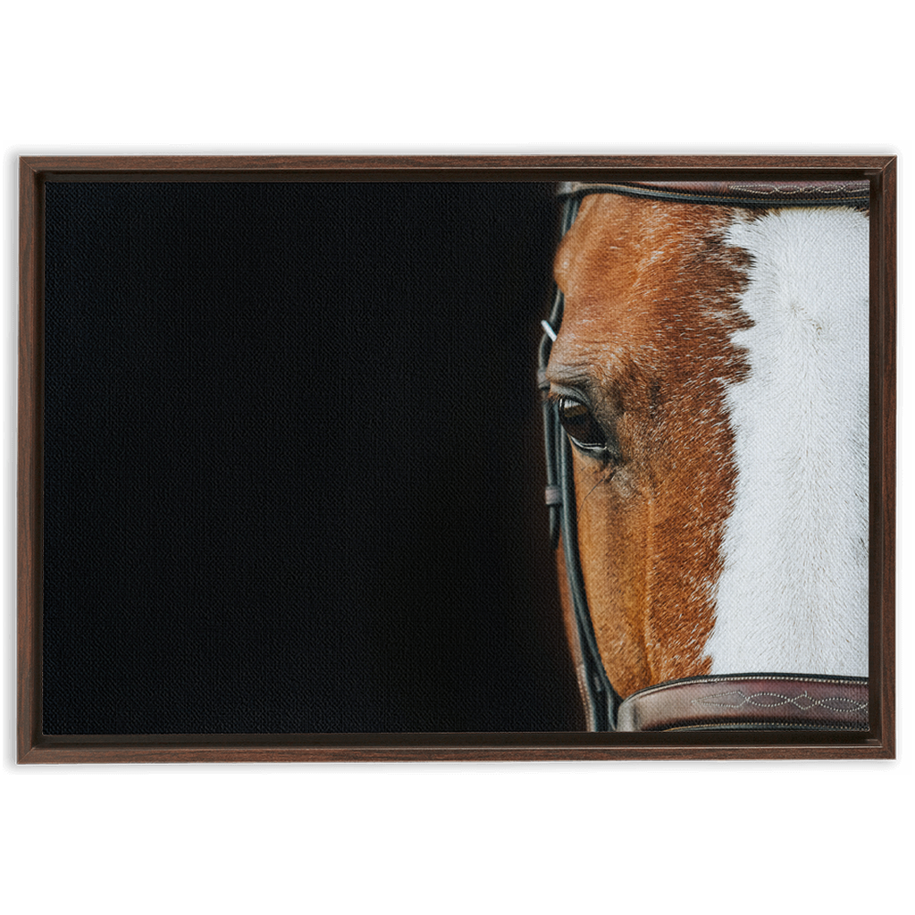 Huntsman Series 5, Framed Canvas