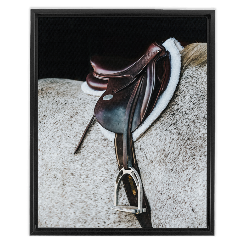 Apollo Series 3, Framed Canvas