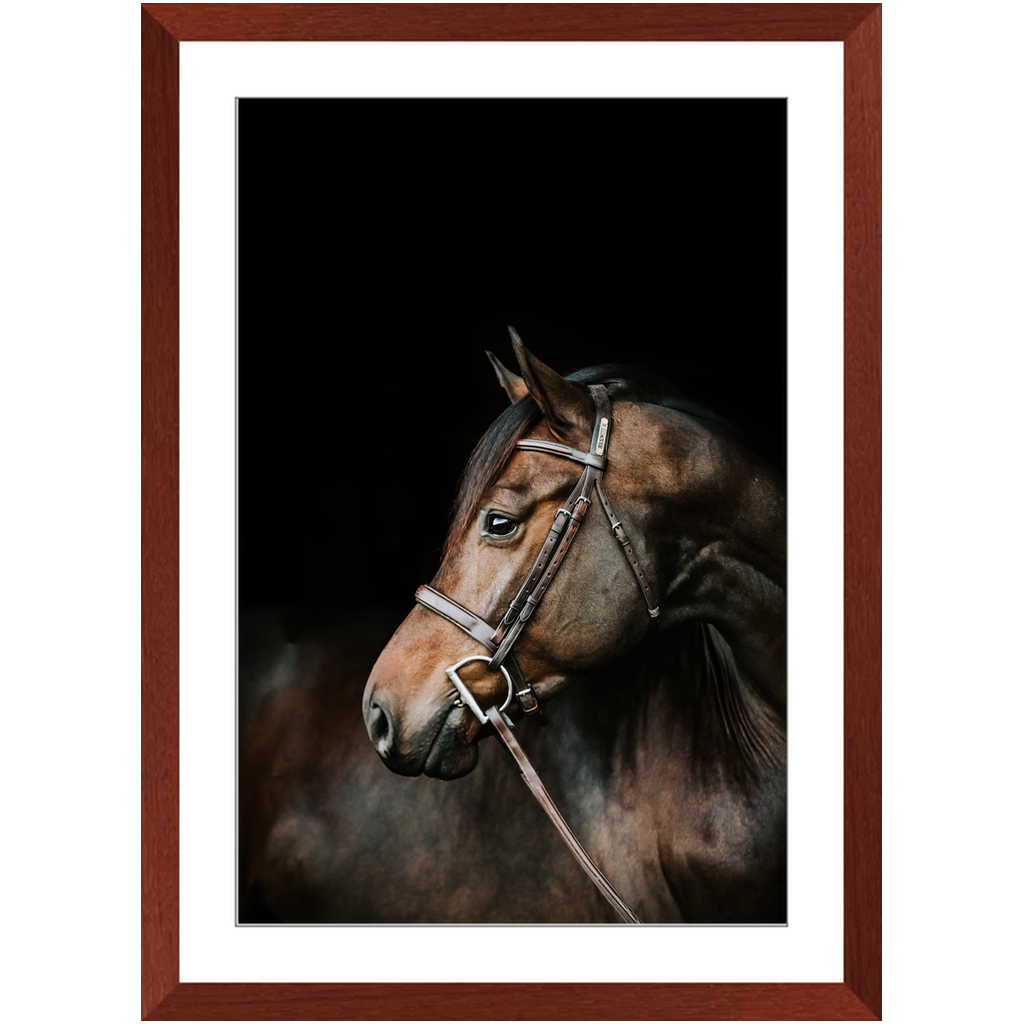Jovial Series 3, Framed Print