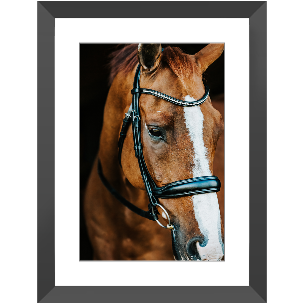 Hudson Series 3, Framed Print