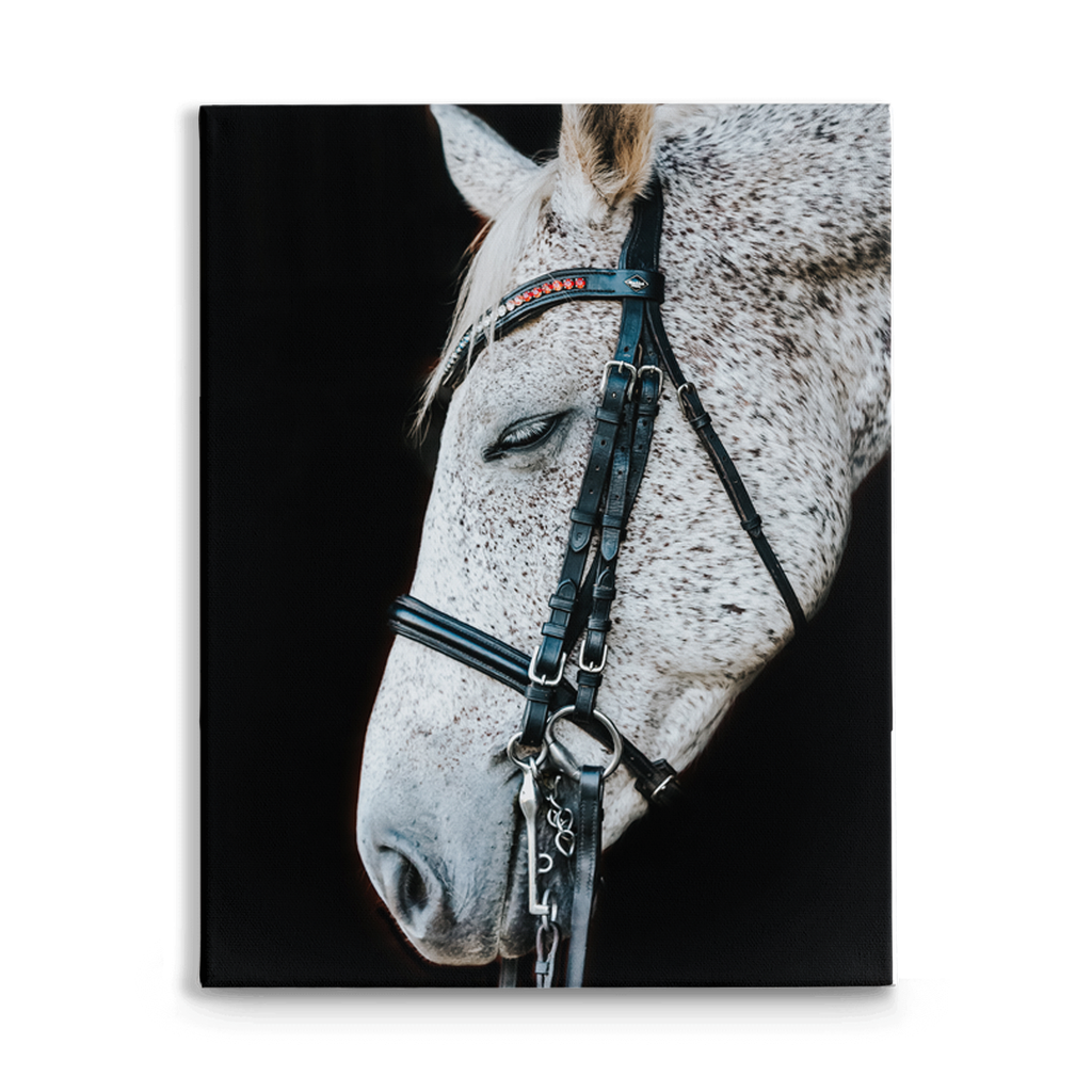 Apollo Series 1, Stretched Canvas