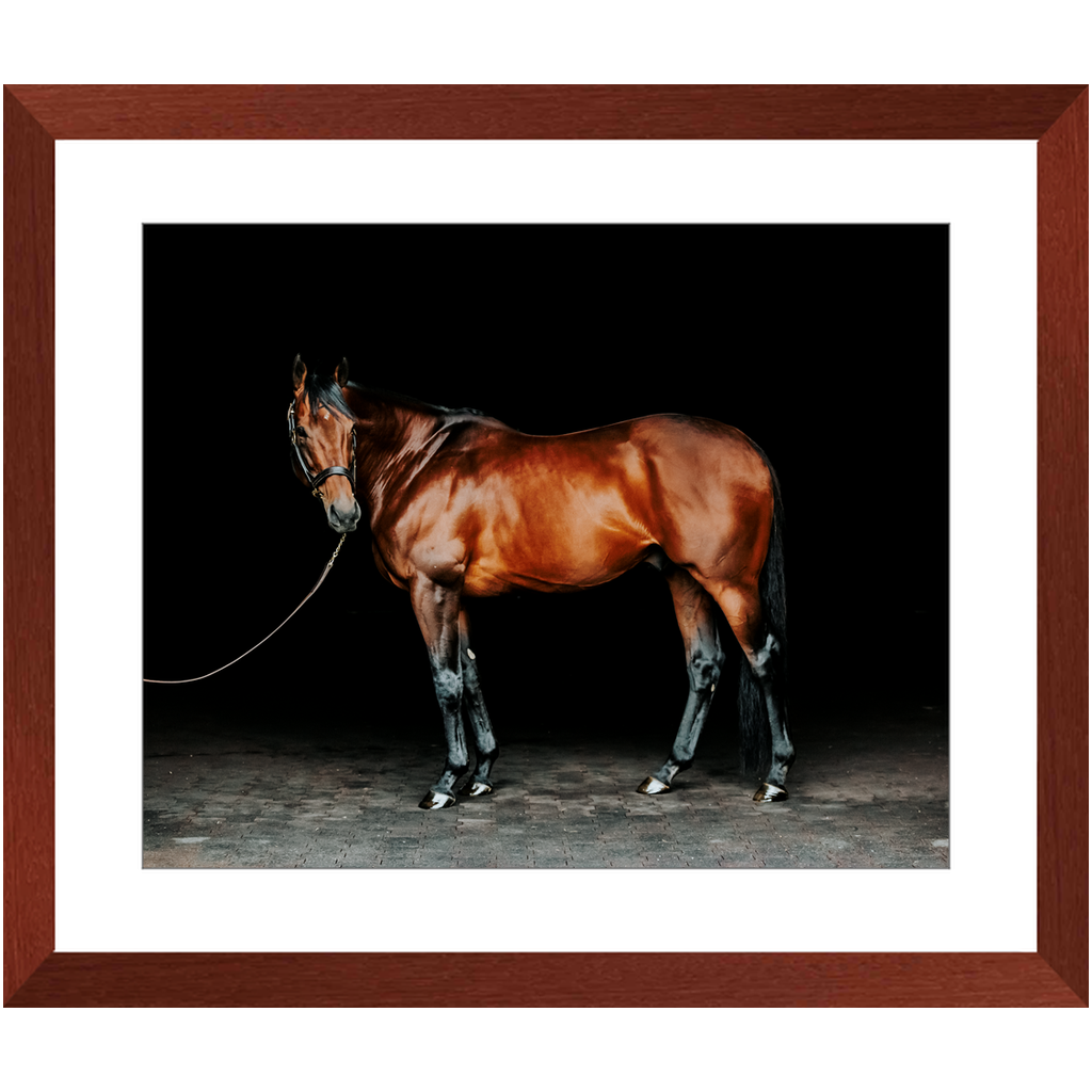 American Pharoah Series 1, Framed Print