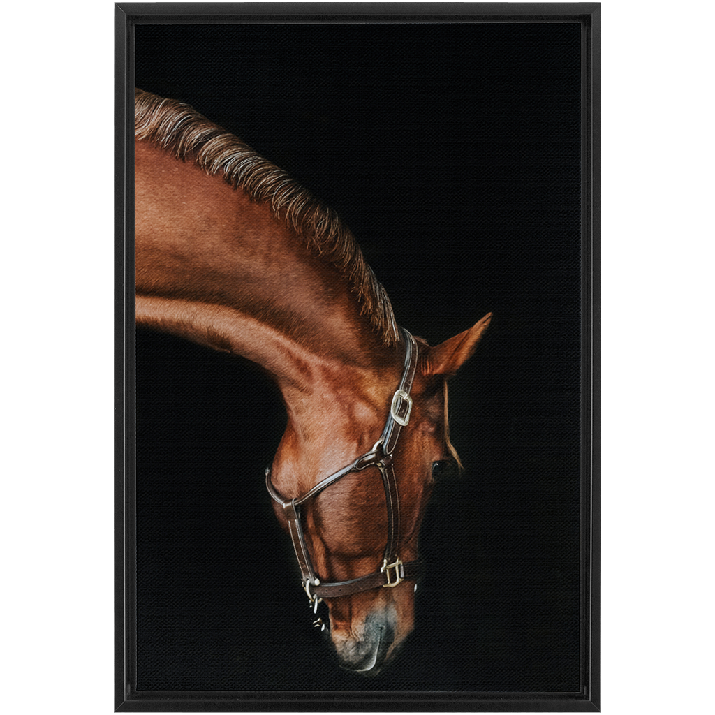 Django Series 6, Framed Canvas