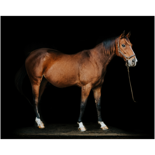 Majestic Series 6, Print