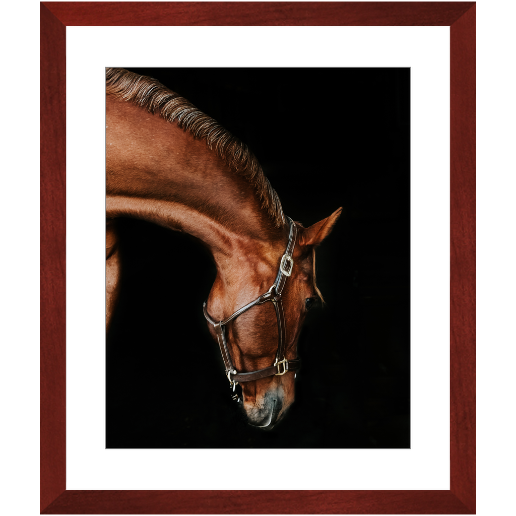 Django Series 6, Framed Print