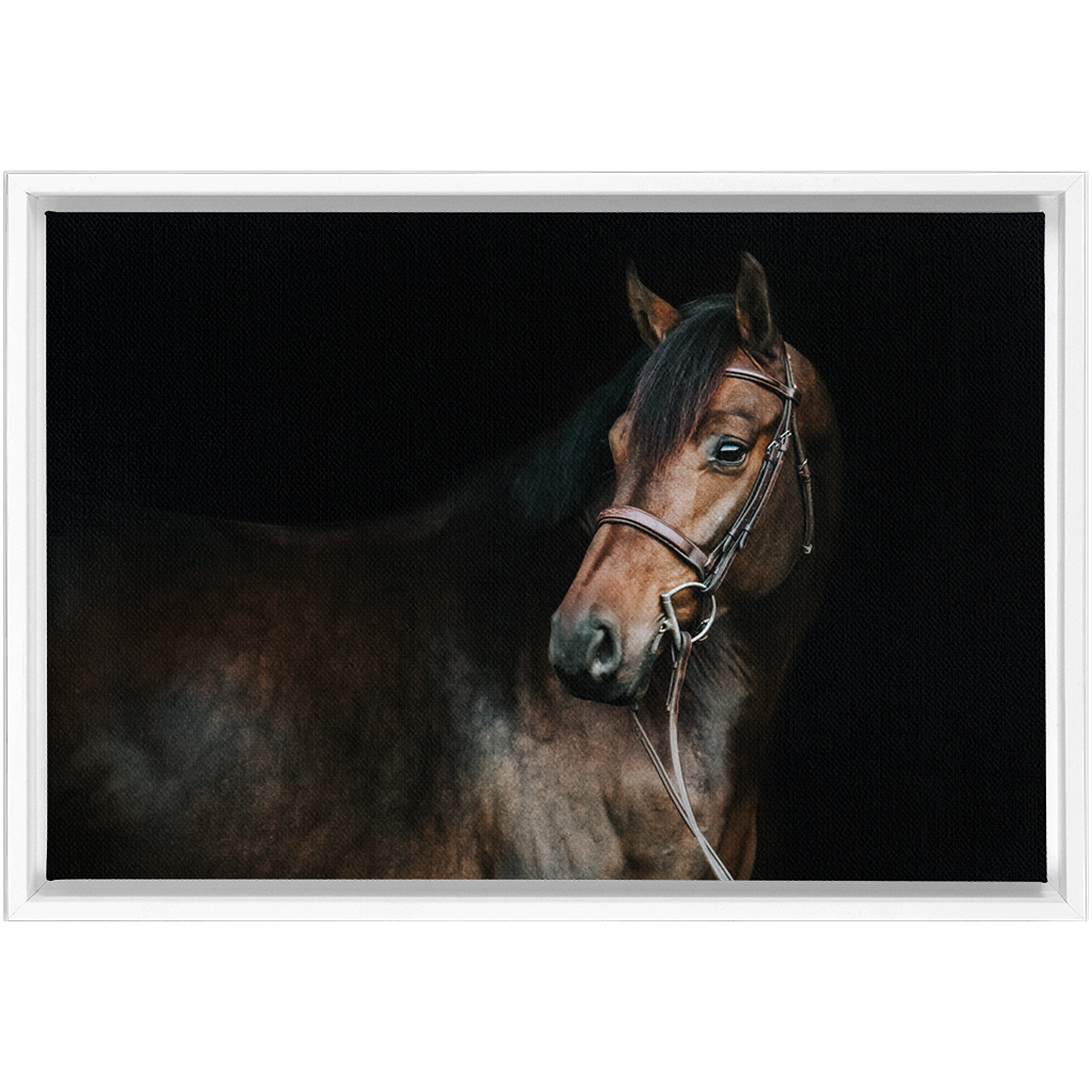 Jovial Series 2, Framed Canvas