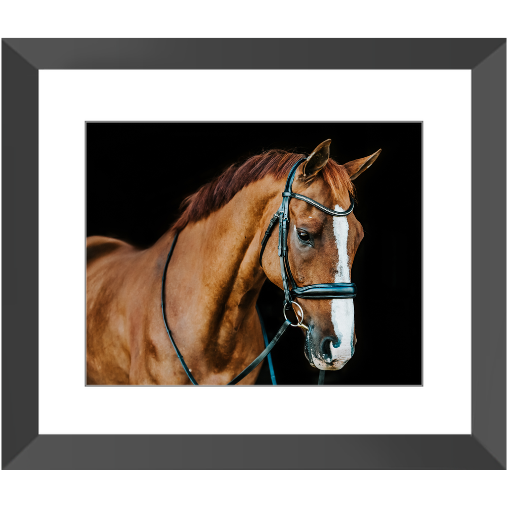 Hudson Series 1, Framed Print