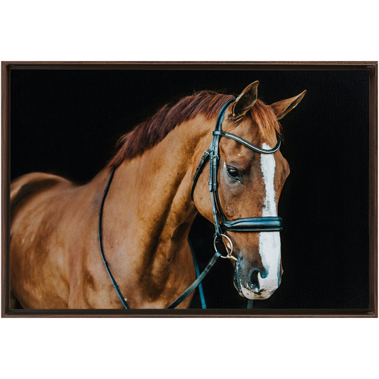 Hudson Series 1, Framed Canvas