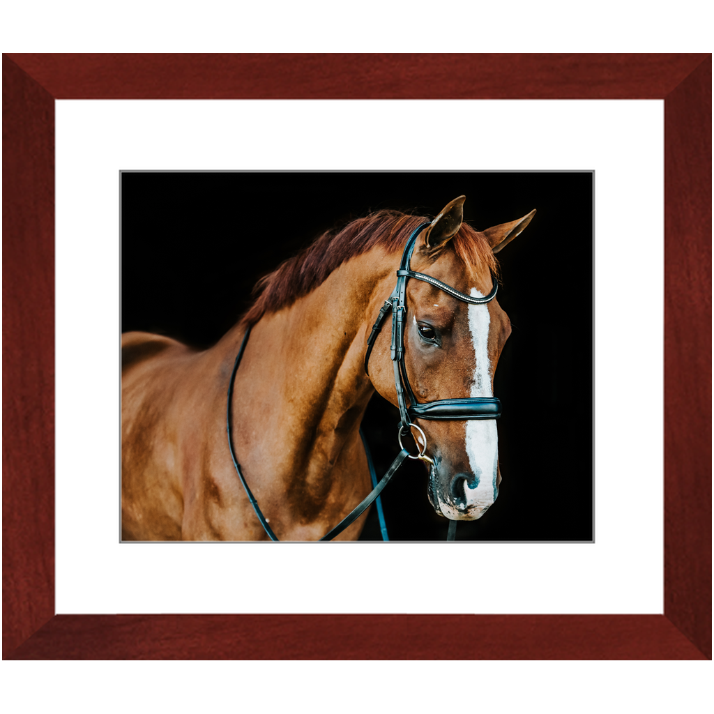 Hudson Series 1, Framed Print