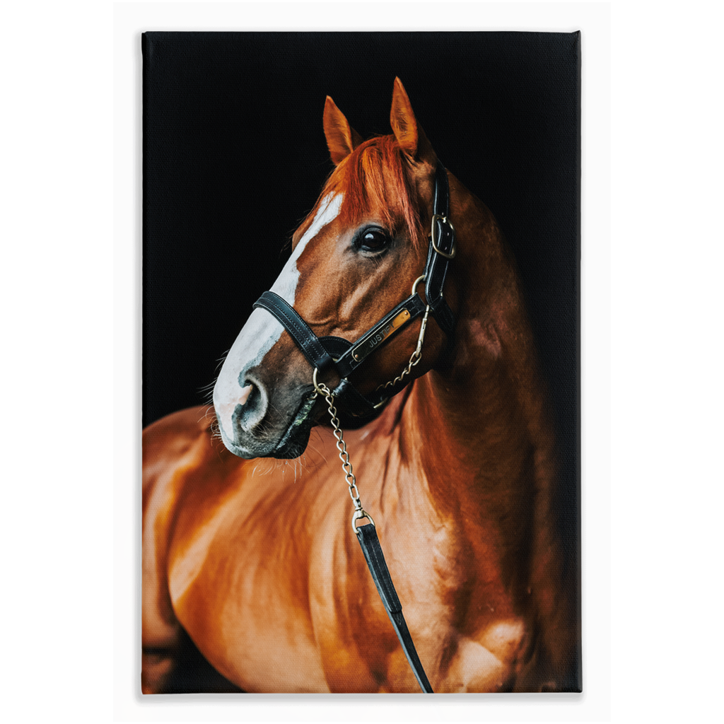 Justify Series 1, Stretched Canvas
