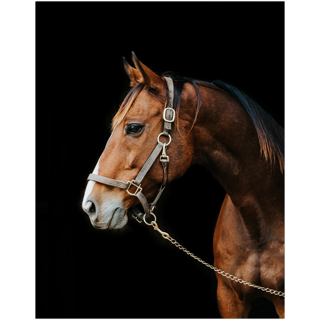 Majestic Series 4, print
