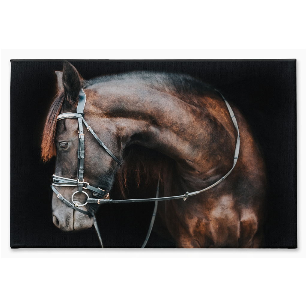 Regal Series 1, Stretched Canvas