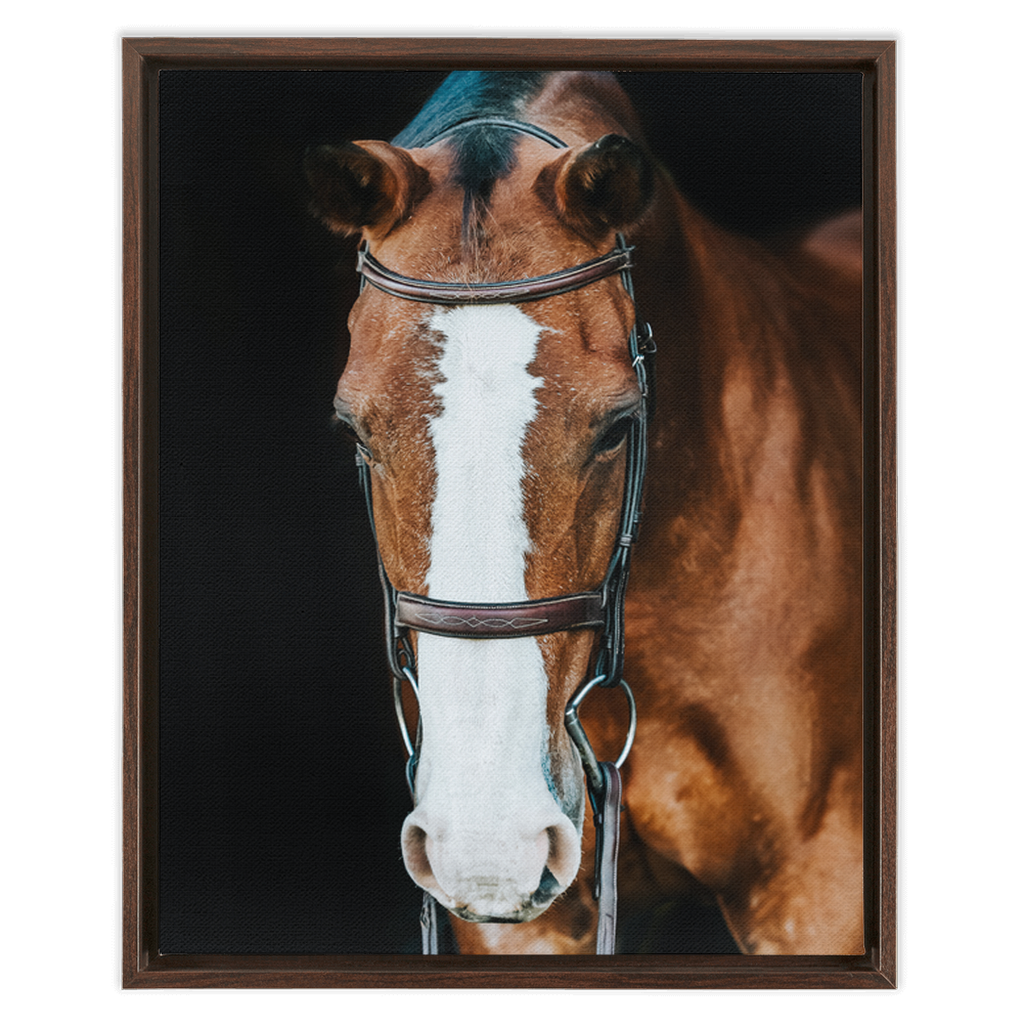 Huntsman Series 6, Framed Canvas