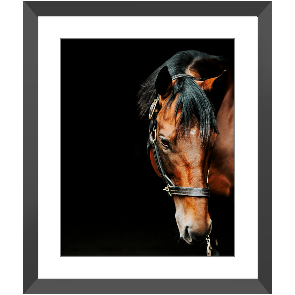 American Pharoah Series 6, Framed Print