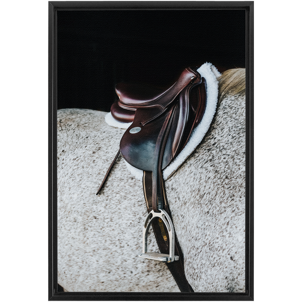 Apollo Series 3, Framed Canvas